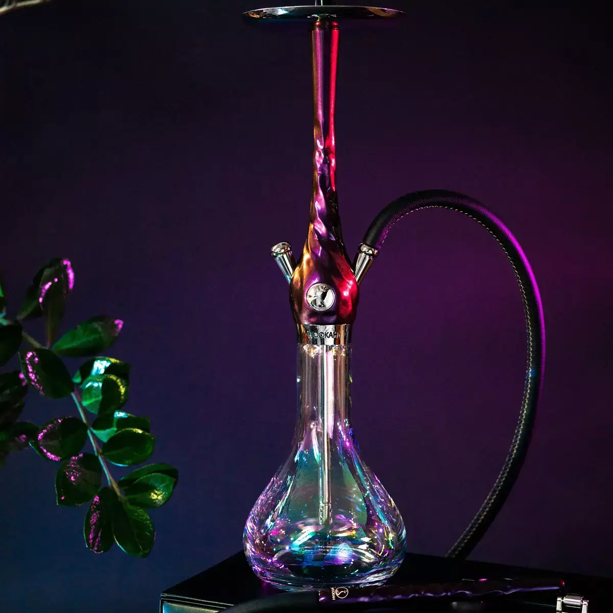 Exclusive WOOKAH Chameleon Set